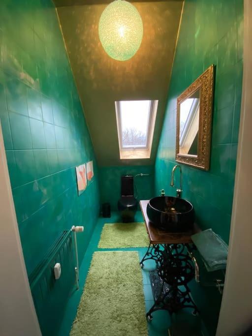 Ferienwohnung In Historischer Villa Mit Gartennutzung Furth im Wald Exterior foto